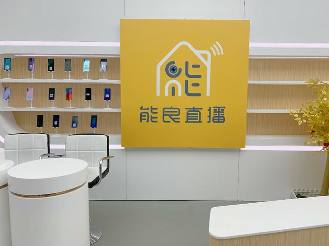 网络与计算机科技领域技术服务全解析 开发、转让、咨询与服务