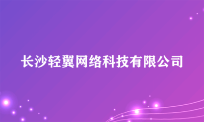 数字时代的赋能者 长沙轻翼网络科技引领网络技术服务新范式